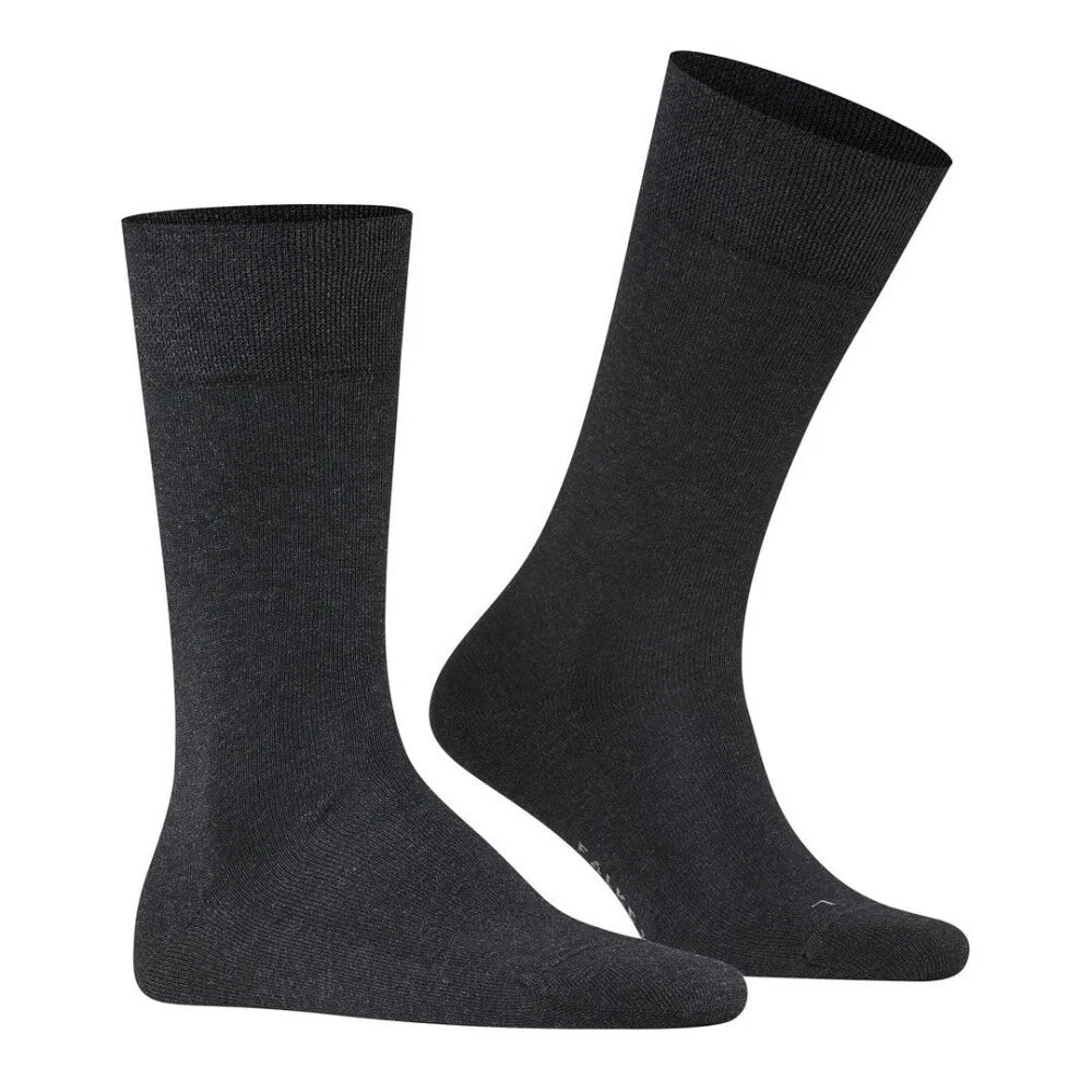 Sensitive London men -Falke